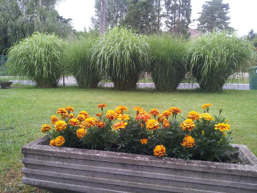 Hajas Familia Kiado Szobak Balatonmáriafürdő 外观 照片
